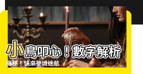 小鳥代表幾號|【小鳥代表數字】小鳥叩心！數字解析揭秘！快來夢境迷航指南 –